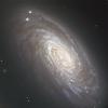 M88