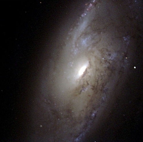 M106 : Spiral Galaxy