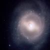 M95