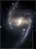 NGC1365