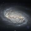 NGC 2903 : Spiral Galaxy