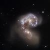 NGC 4038 : The Antennae