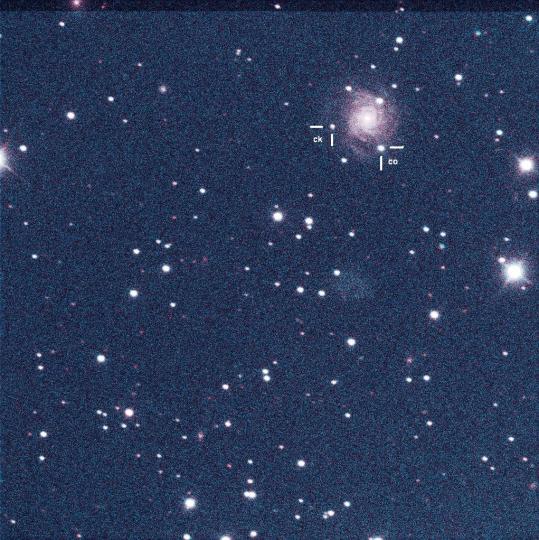 Two supernovae