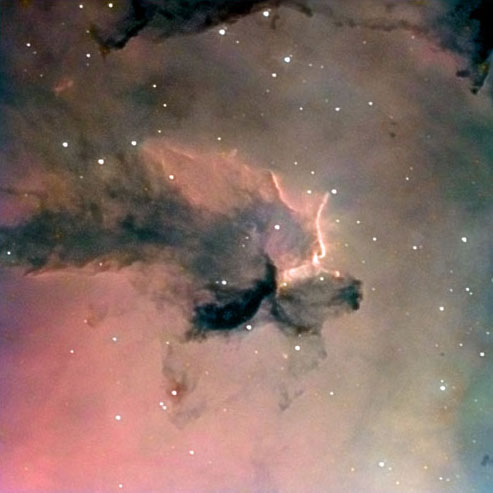 The Turtle Nebula