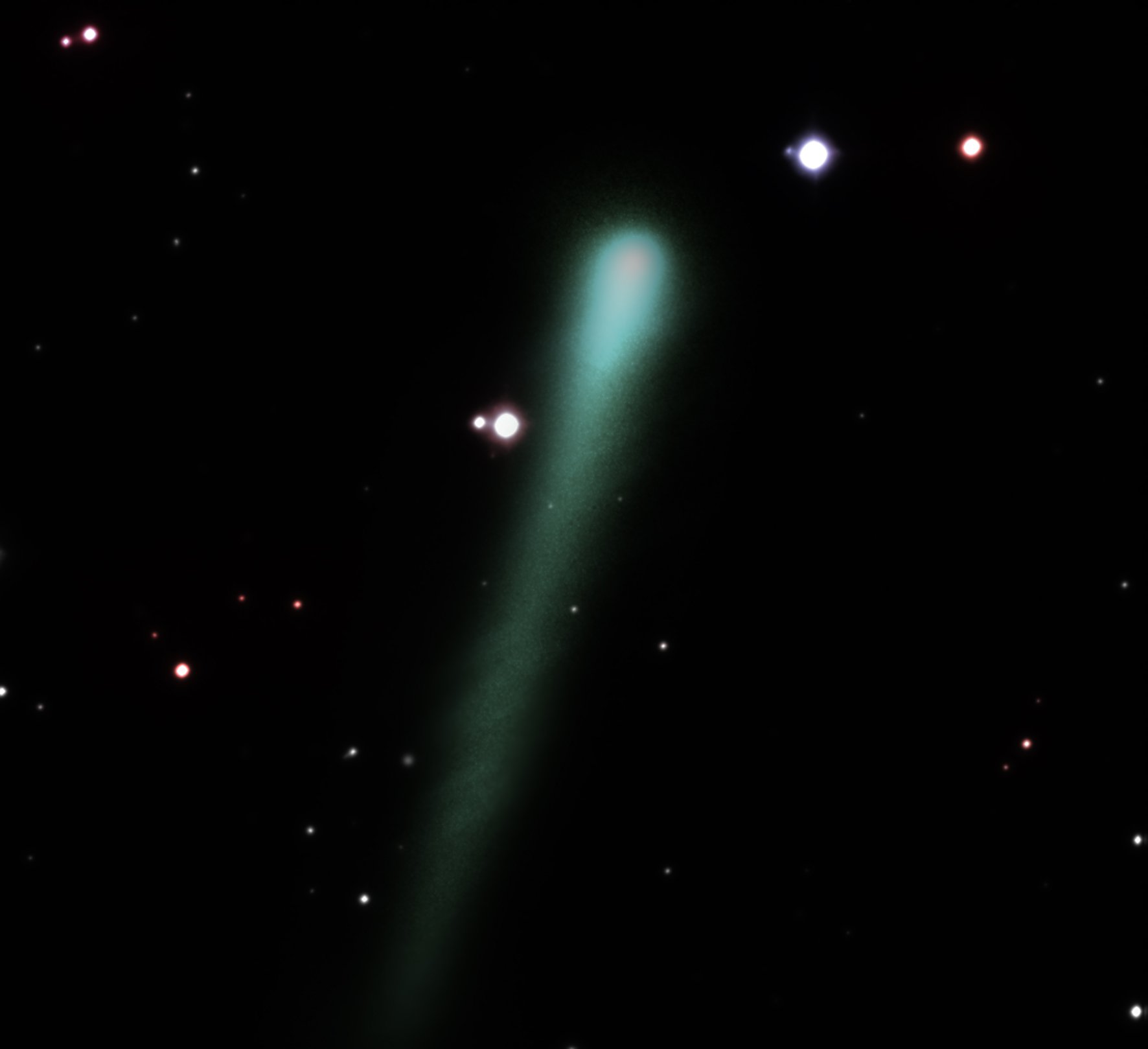 Comet_Cardinal_NH.jpg